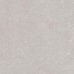 GENT ASH RETT 80x80