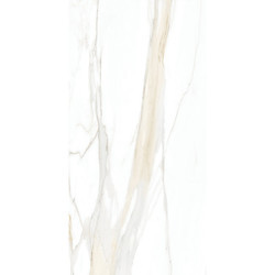 I CLASSICI CAL.GOLD 6MM MATTE 120X240 RE