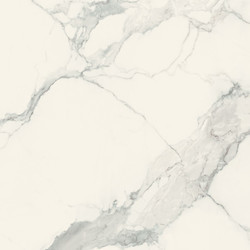I CLASSICI STATUARIO 6MM GLOSSY 80X80