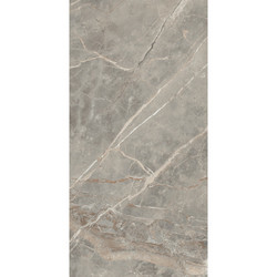 ETOILE GRIS GLO 6MM 60X120 RET