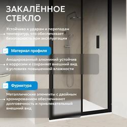 Душевая дверь ABBER Sonnenstrand AG07120B