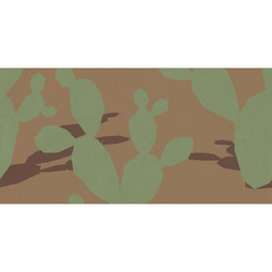 W&S D+ CP4 ARIZONA C 120X240