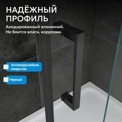 Душевая дверь ABBER Schwarzer Diamant AG30130B5
