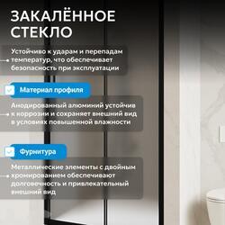Душевая дверь ABBER Schwarzer Diamant AG30140BMH