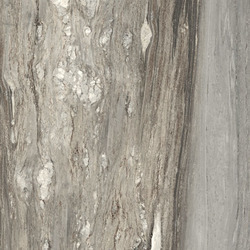 ETOILE TROPICAL GLOSSY 10 мм 60x60 RET