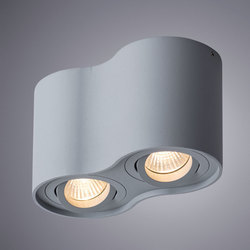 Точечный светильник Arte Lamp A5645PL-2GY Falcon