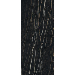 PREXIOUS REX THUNDER NIGHT GLO 10MM 80X180 R