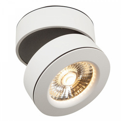 Точечный светильник Maytoni C023CL-L20W Treviso
