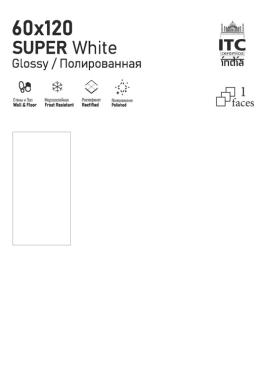 SUPER White 60x120 ITC India (Индия)	