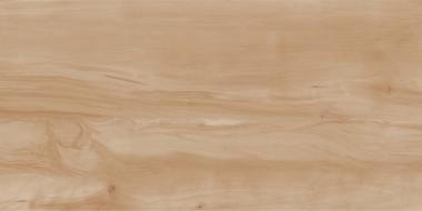 Керамогранит Realistik Пэйнт Вуд бежевый полированный 60x120 (1,44)