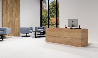 ECOCERAMICA ALASKA 60x60