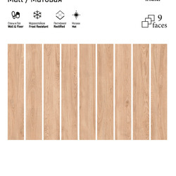ITC India ARIANA Wood 20x120