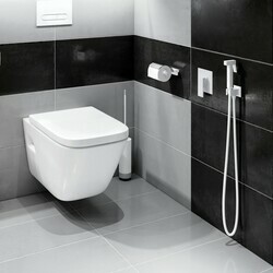Смеситель встроенный с гигиеническим душем Timo Selene 2089/16SM белый матовый