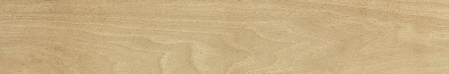 Maison Champagne 20x120
