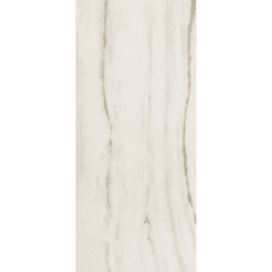 PREXIOUS REX WHITE FANTASY GLO 10MM 80X180 R