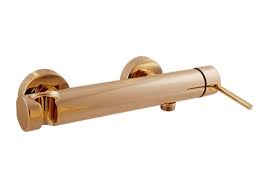 Однорычажный смеситель для душа Rav Slezak Seina SE980.5Z	