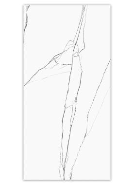 Керамогранит Realistik Чанс серый матовый карвинг 60x120 (1,44)