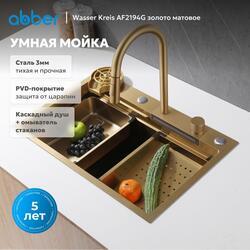 Кухонная мойка ABBER Wasser Kreis AF2194G золото матовое