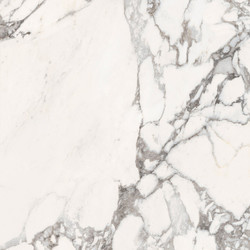 MAJESTIC PURE GLORIOUS ARABESCATO L/R 119,5x119,5