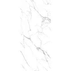 STATUARIO REALE LAPP/RETT 120X280