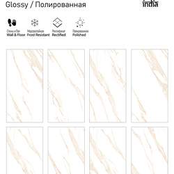 ITC India LUNA 60x120