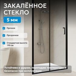 Душевая дверь ABBER Schwarzer Diamant AG30130B5