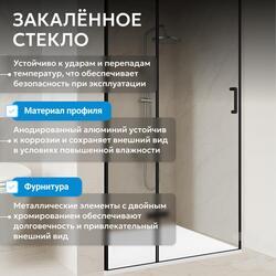 Душевая дверь ABBER Zart AG08090B