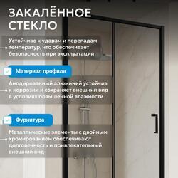 Душевая дверь ABBER Schwarzer Diamant AG30110B5
