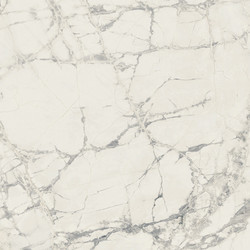 PREXIOUS REX MOUNTAINTREASURE MAT 10MM 80X80 R