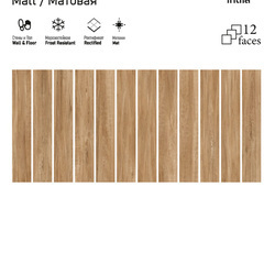ITC India MAPLE Wood 20x120