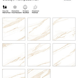 ITC India LUNA 60x60