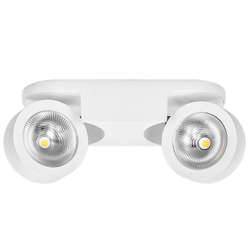 Точечный светильник Lightstar 055264 Snodo