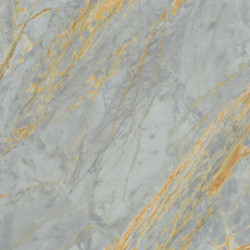 SNS.SIGN.GRIGIO SIENA LUX RET 120X120