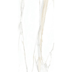 I CLASSICI CAL.GOLD 6MM MATTE 120X240 RE