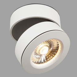Точечный светильник Maytoni C023CL-L20W Treviso