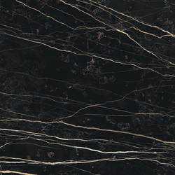 PREXIOUS REX THUNDER NIGHT MAT 10MM 60X60 R
