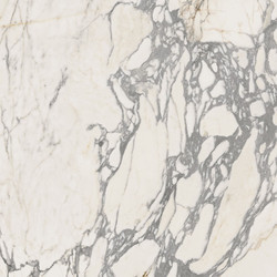 EPOQUE 21 ARABESCATO NAT RET 80X80