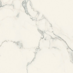 I CLASSICI STATUARIO 6MM GLOSSY 80X80