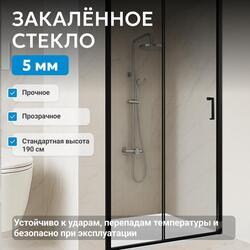 Душевая дверь ABBER Schwarzer Diamant AG30110B5