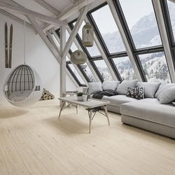 Paradyz Iceland