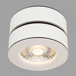 Точечный светильник Maytoni C023CL-L20W Treviso